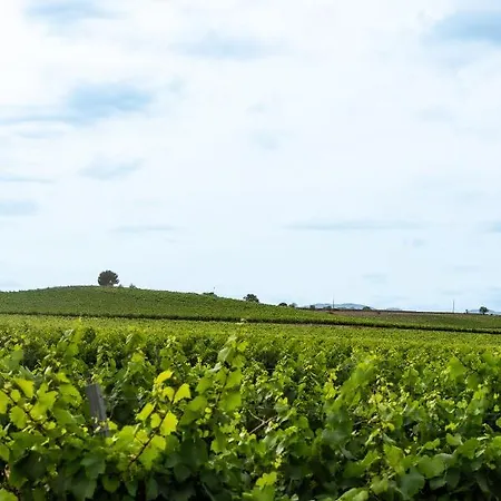 Maison Avec Piscine, Vue Sur Le Canal Du Midi *