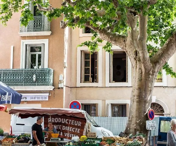 Maison Avec Piscine, Vue Sur Le Canal Du Midi Capestang